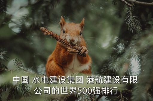 中國 水電建設集團 港航建設有限 公司的世界500強排行