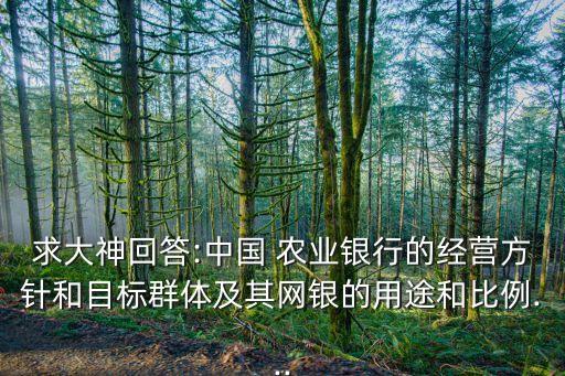 求大神回答:中國 農業(yè)銀行的經營方針和目標群體及其網銀的用途和比例...