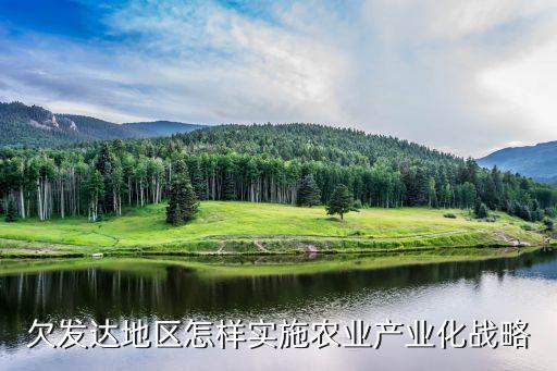 欠發(fā)達地區(qū)怎樣實施農業(yè)產業(yè)化戰(zhàn)略