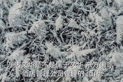 萬達(dá)文華是不是屬于文華 東方國(guó)際 酒店管理公司管理的 酒店