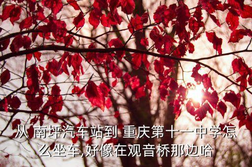 從 南坪汽車(chē)站到 重慶第十一中學(xué)怎么坐車(chē),好像在觀音橋那邊哈
