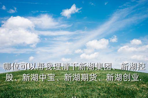 哪位可以幫我理清下新湖集團、新湖控股、新湖中寶、新湖期貨、新湖創(chuàng)業(yè)...