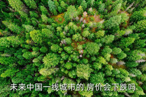 未來(lái)中國(guó)一線(xiàn)城市的 房?jī)r(jià)會(huì)下跌嗎
