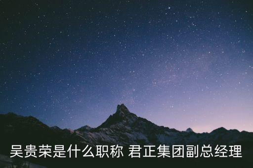 上海君正拍賣,上?？铸埖盎馁u