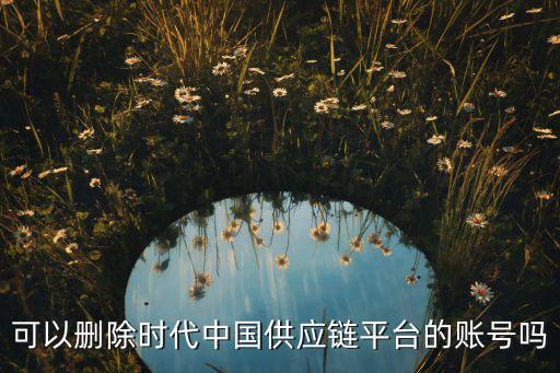 可以刪除時(shí)代中國供應(yīng)鏈平臺的賬號嗎