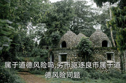 股票屬于道德風(fēng)險(xiǎn)嗎,劣幣驅(qū)逐良幣屬于道德風(fēng)險(xiǎn)問(wèn)題