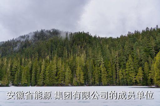 原銅陵發(fā)電屬?lài)?guó)電集團(tuán)嗎