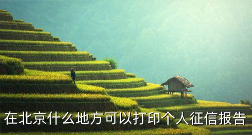 在北京什么地方可以打印個人征信報(bào)告