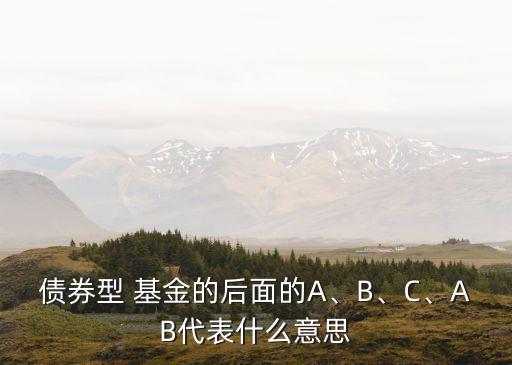 債券型 基金的后面的A、B、C、AB代表什么意思