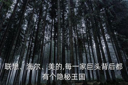 聯想、海爾、美的,每一家巨頭背后都有個隱秘王國