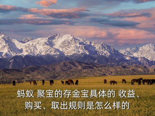  螞蟻 聚寶的存金寶具體的 收益、購買、取出規(guī)則是怎么樣的