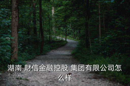湖南 財信金融控股 集團(tuán)有限公司怎么樣