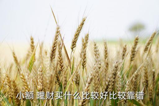  小額 理財(cái)買什么比較好比較靠譜