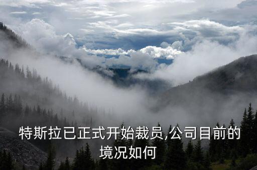 特斯拉在中國的現狀,潮州特斯拉車主現狀