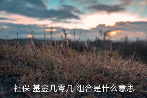 全國社?；?06組合,社?；?06組合牛不牛