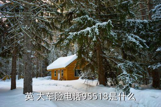 英 大車(chē)險(xiǎn)電話(huà)95518是什么