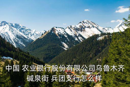 中國 農業(yè)銀行股份有限公司烏魯木齊堿泉街 兵團支行怎么樣