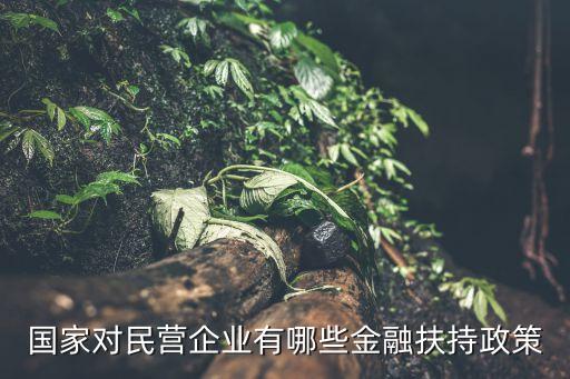 政府性擔(dān)保基金,政府創(chuàng)業(yè)擔(dān)?；鹗菄?guó)家的嗎