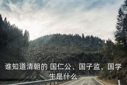 誰知道清朝的 國仁公、國子監(jiān)、國學生是什么