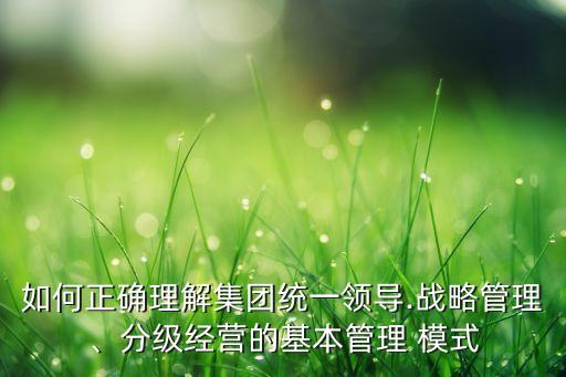 如何正確理解集團(tuán)統(tǒng)一領(lǐng)導(dǎo).戰(zhàn)略管理、分級(jí)經(jīng)營(yíng)的基本管理 模式
