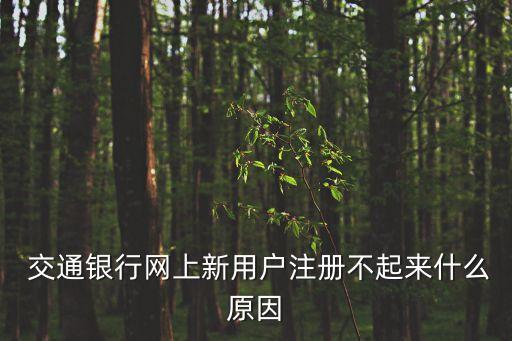  交通銀行網(wǎng)上新用戶(hù)注冊(cè)不起來(lái)什么原因
