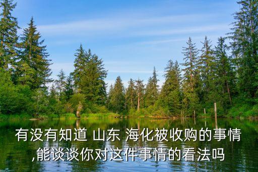 有沒有知道 山東 海化被收購(gòu)的事情,能談?wù)勀銓?duì)這件事情的看法嗎