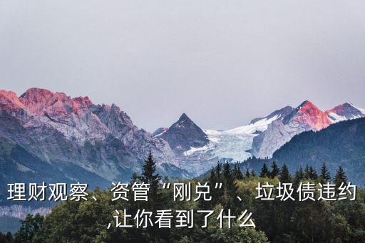 理財觀察、資管“剛兌”、垃圾債違約,讓你看到了什么