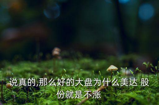 說(shuō)真的,那么好的大盤(pán)為什么美達(dá) 股份就是不漲