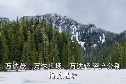 萬達茂、萬達廣場、萬達輕 資產(chǎn)分別指的是啥