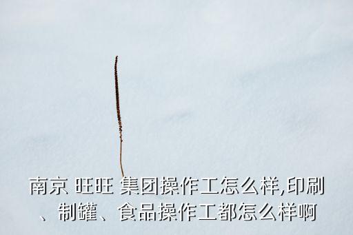 南京 旺旺 集團(tuán)操作工怎么樣,印刷、制罐、食品操作工都怎么樣啊