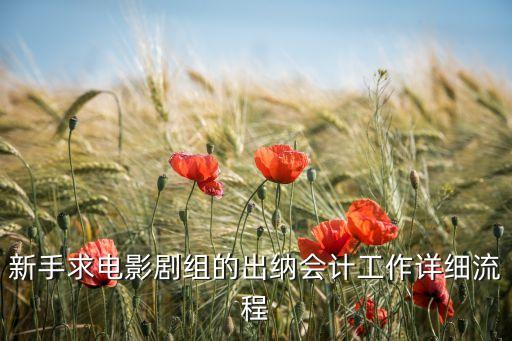 新手求電影劇組的出納會計(jì)工作詳細(xì)流程