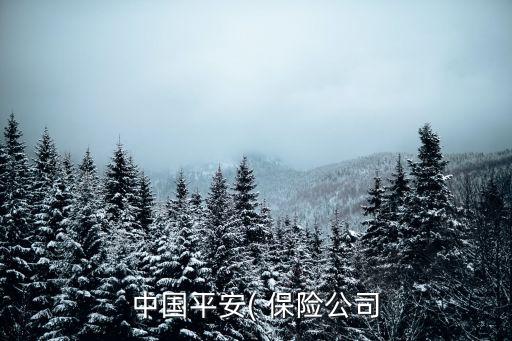 中國平安( 保險(xiǎn)公司