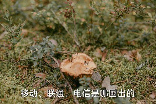 移動(dòng)、聯(lián)通、電信是哪國(guó)出的