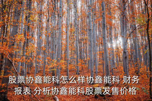 股票協鑫能科怎么樣協鑫能科 財務 報表 分析協鑫能科股票發(fā)售價格