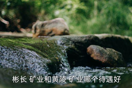 陜西彬長礦業(yè)集團有限公司煤化工公司,2、陜西彬長礦業(yè)集團有限公司