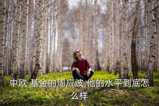 公募明星基金經理,公募基金經理排行榜前十名