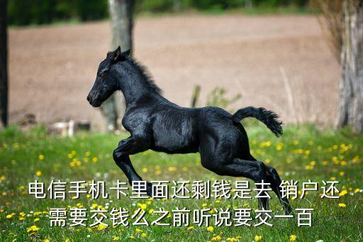  電信手機(jī)卡里面還剩錢(qián)是去 銷戶還需要交錢(qián)么之前聽(tīng)說(shuō)要交一百