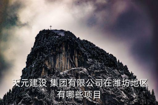  天元建設(shè) 集團有限公司在濰坊地區(qū)有哪些項目