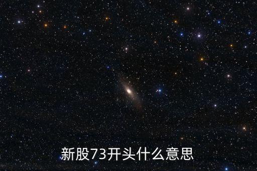 新股73開(kāi)頭什么意思