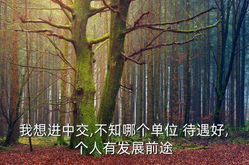中股集團待遇,天津港集團待遇