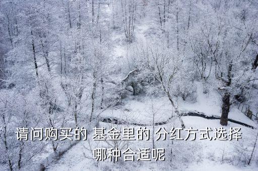 請(qǐng)問(wèn)購(gòu)買(mǎi)的 基金里的 分紅方式選擇哪種合適呢