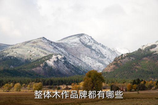 浙江益立膠囊有限公司,浙江一建建設集團有限公司