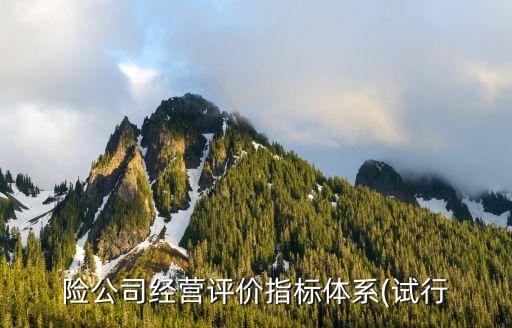 險(xiǎn)公司經(jīng)營評價(jià)指標(biāo)體系(試行