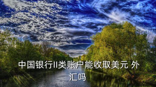  中國(guó)銀行II類(lèi)賬戶(hù)能收取美元 外匯嗎