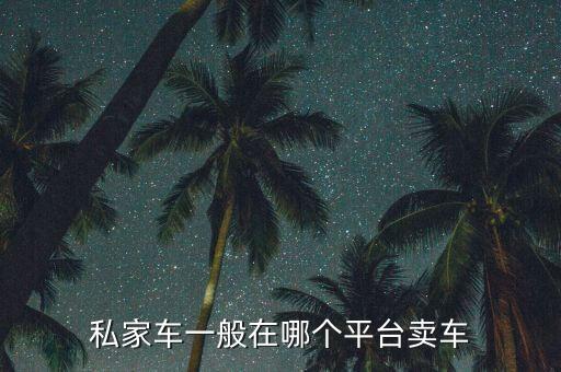 大搜車(chē)投資神州