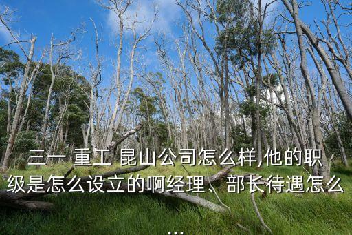 三一 重工 昆山公司怎么樣,他的職級(jí)是怎么設(shè)立的啊經(jīng)理、部長(zhǎng)待遇怎么...