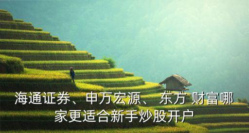 海通證券、申萬宏源、 東方 財富哪家更適合新手炒股開戶