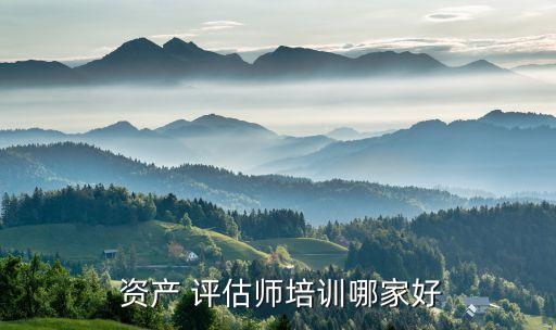 陜西精誠資產評估有限公司,陜西秦地礦業(yè)權資產評估有限公司