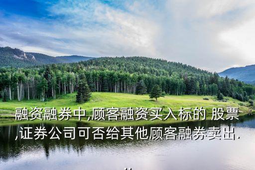 股票質(zhì)押實施細(xì)則