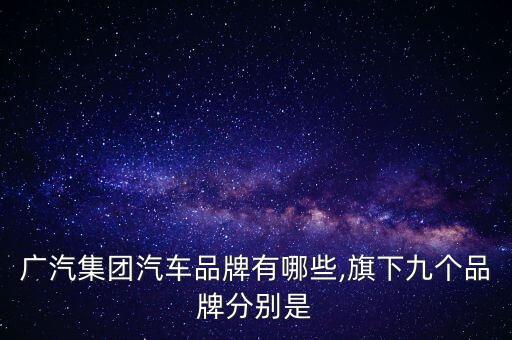 萬向集團下屬公司